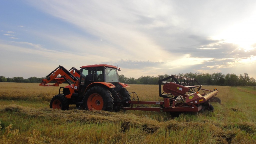 Swathing 2013-1