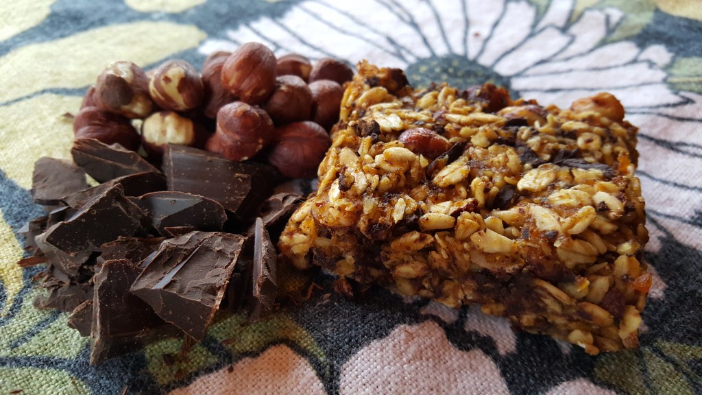 pumpkin hazelnut granola bars