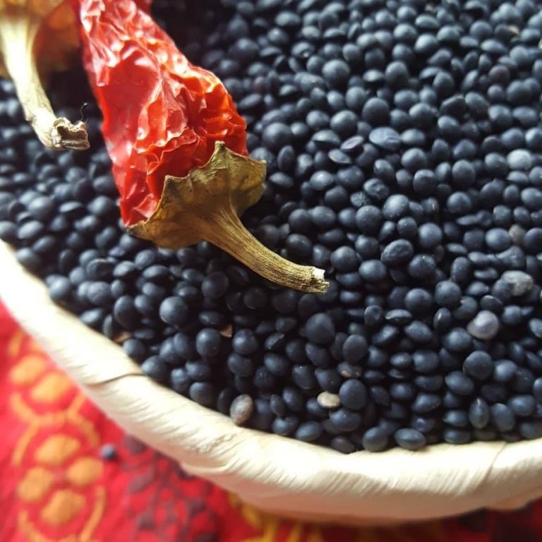 Adagio Acres » 900g Organic Black Beluga Lentils