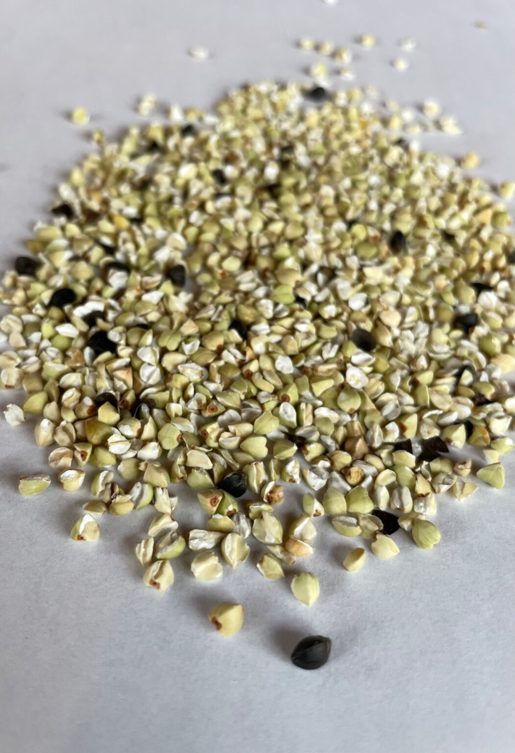 Buckwheat Groats Adagio Acres