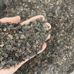 Buckwheat Hulls