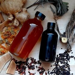 Immunity Boost Ciders and Syrups