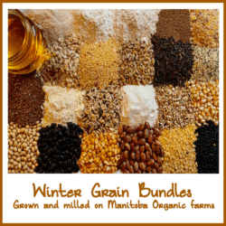 Mini Winter Grain Bundle (January 2026)