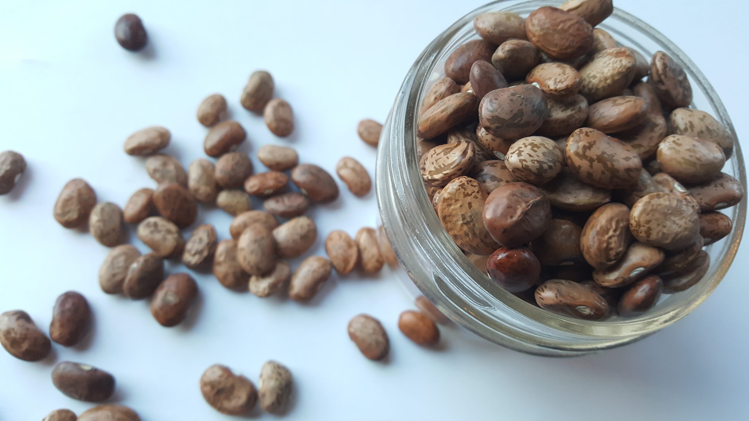 Organic Pinto Beans (600g) (Copy)