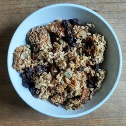 Swallowtail Farmstead Granola